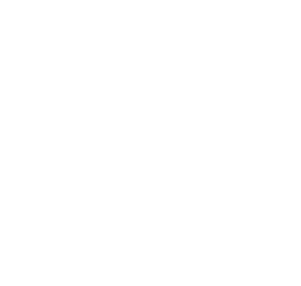ENDO Logo Hvid